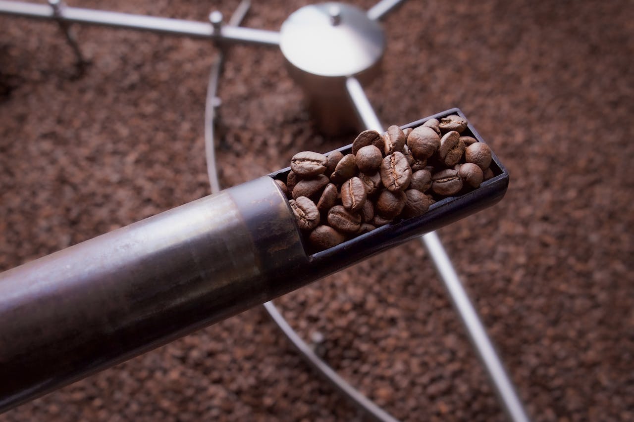 A detailed view of freshly roasted coffee beans inside a coffee roasting machine.